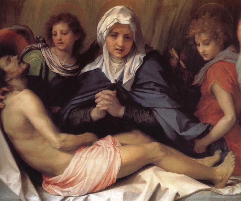Andrea del Sarto Virgin Mary lament Christ Germany oil painting art